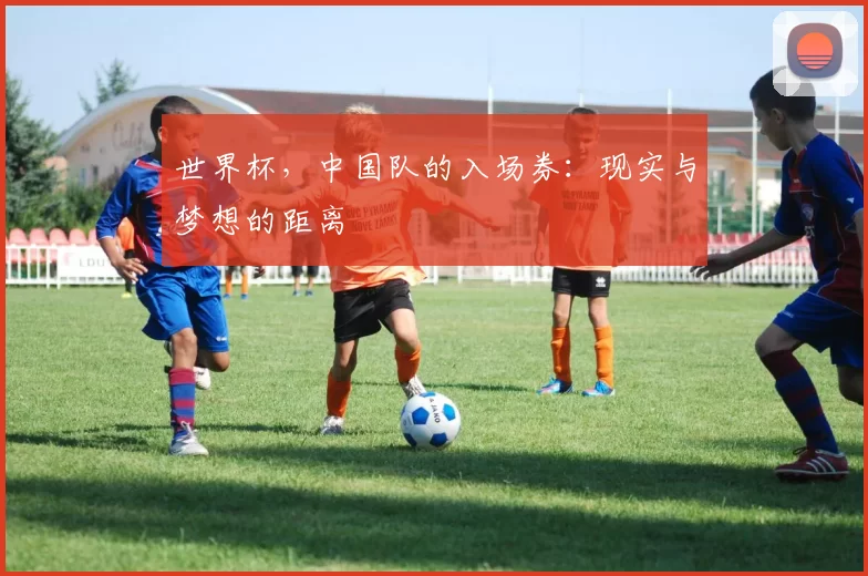 世界杯，中国队的入场券：现实与梦想的距离
