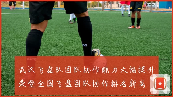 武汉飞盘队团队协作能力大幅提升荣登全国飞盘团队协作排名新高