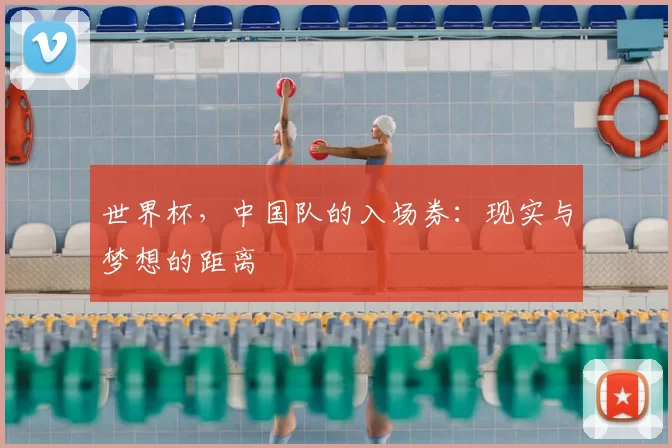 世界杯，中国队的入场券：现实与梦想的距离