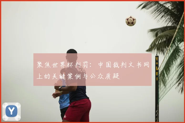 聚焦世界杯判罚：中国裁判文书网上的关键案例与公众质疑