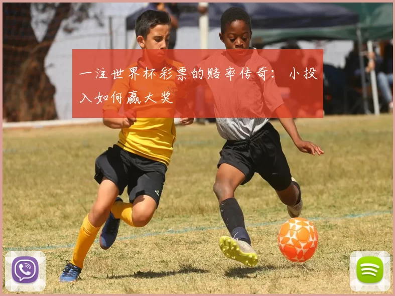 一注世界杯彩票的赔率传奇：小投入如何赢大奖