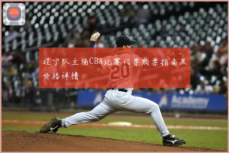 辽宁队主场CBA比赛门票购票指南及价格详情