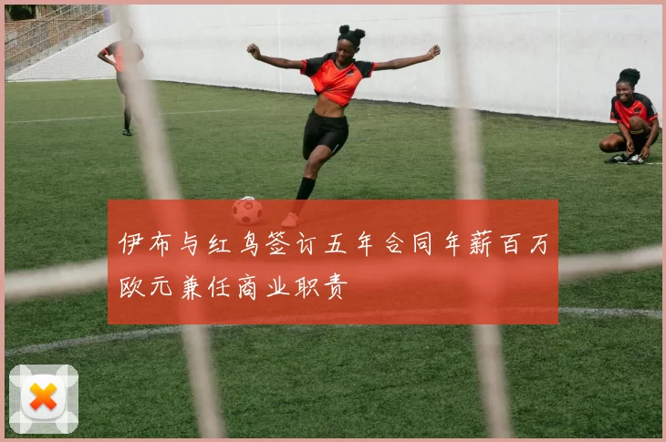 伊布与红鸟签订五年合同年薪百万欧元兼任商业职责
