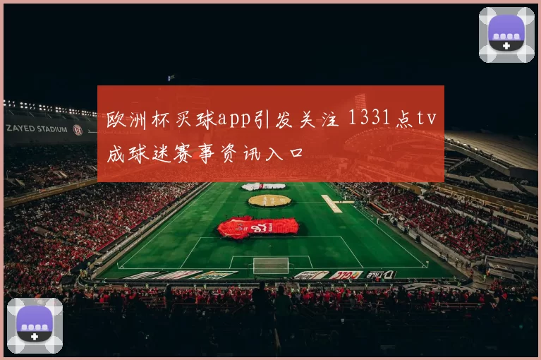 欧洲杯买球app引发关注 1331点tv成球迷赛事资讯入口