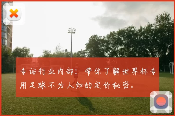专访行业内部：带你了解世界杯专用足球不为人知的定价秘密。