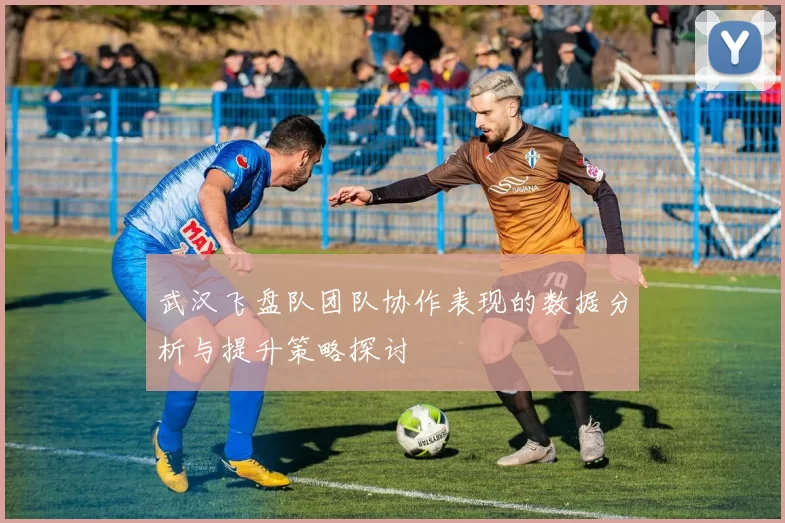 武汉飞盘队团队协作表现的数据分析与提升策略探讨